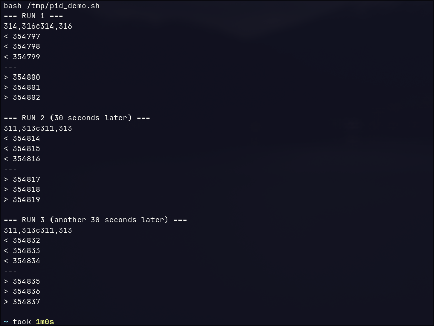 Three consecutive PID diffs between 30 second intervals; the differing PIDs move each run